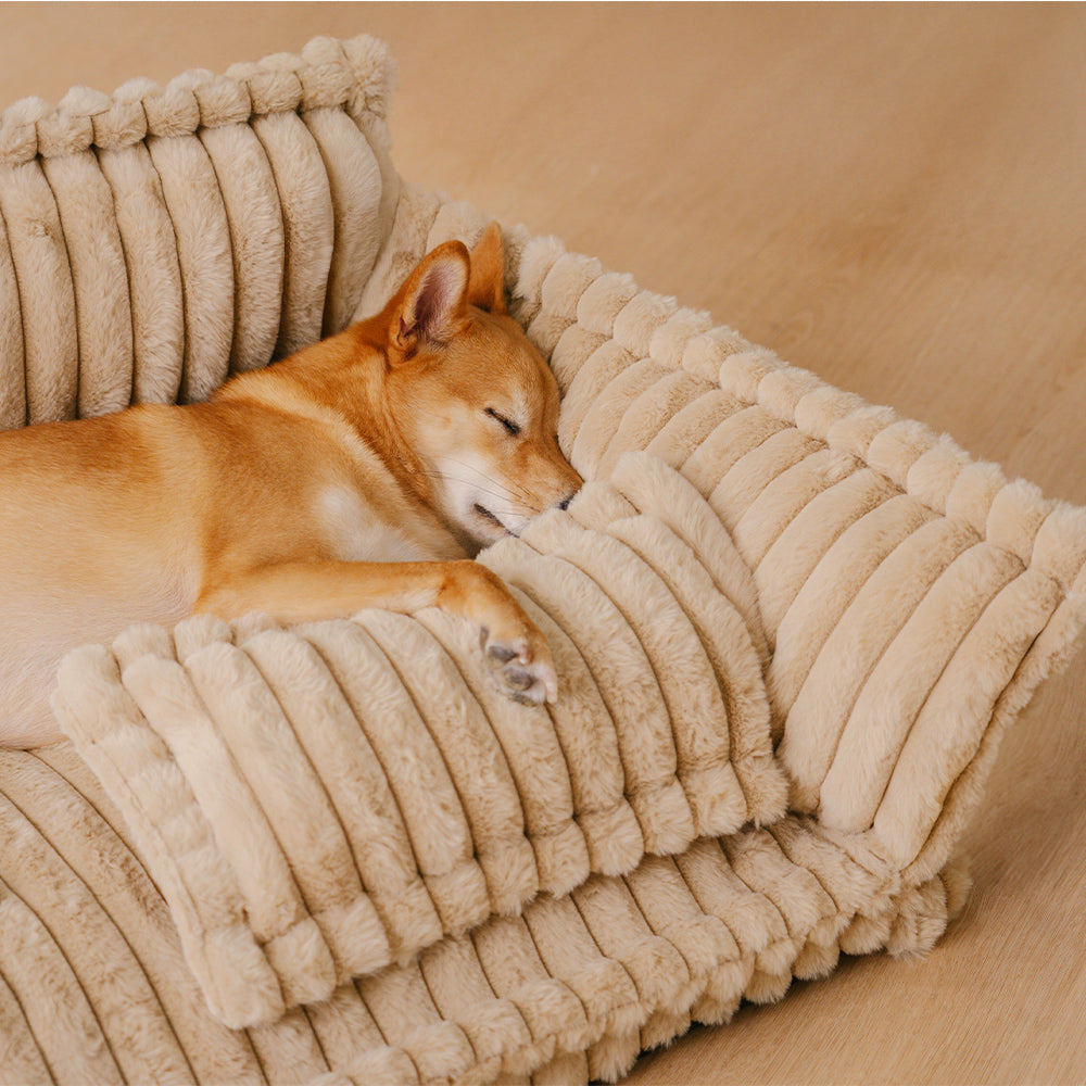 Fluffy Sofa – Ortopedyczne Legowisko dla Psa i Kota