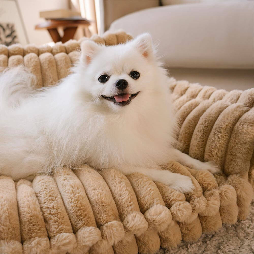 Fluffy Sofa – Ortopedyczne Legowisko dla Psa i Kota