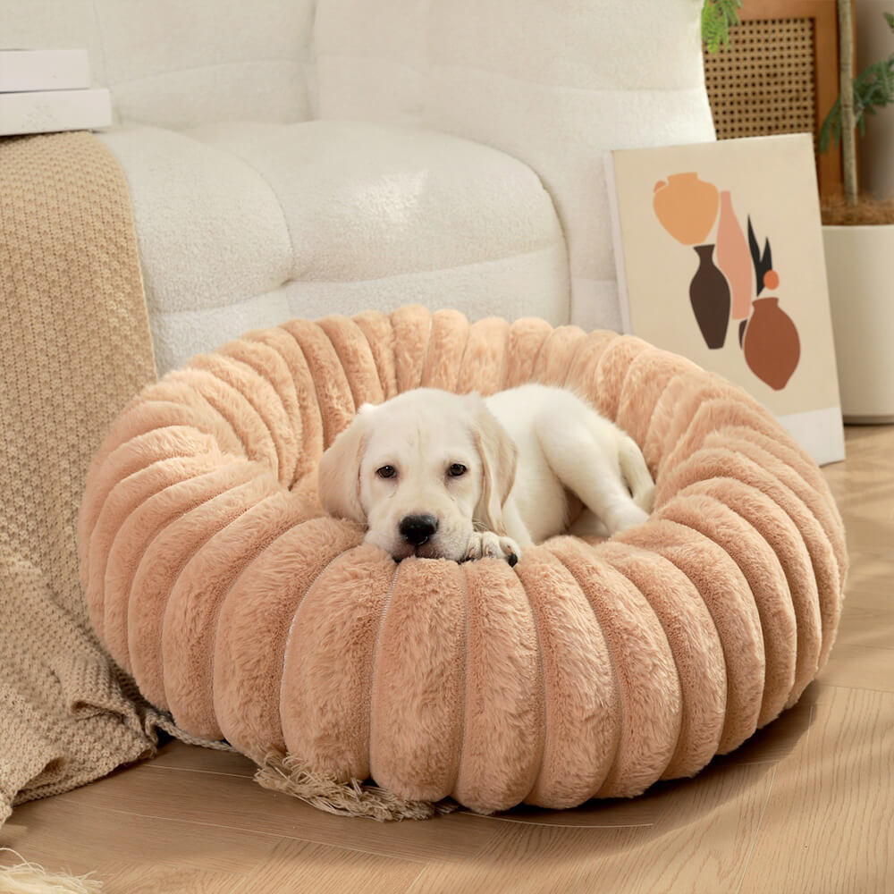CozyDonut – miękki azyl dla pupila