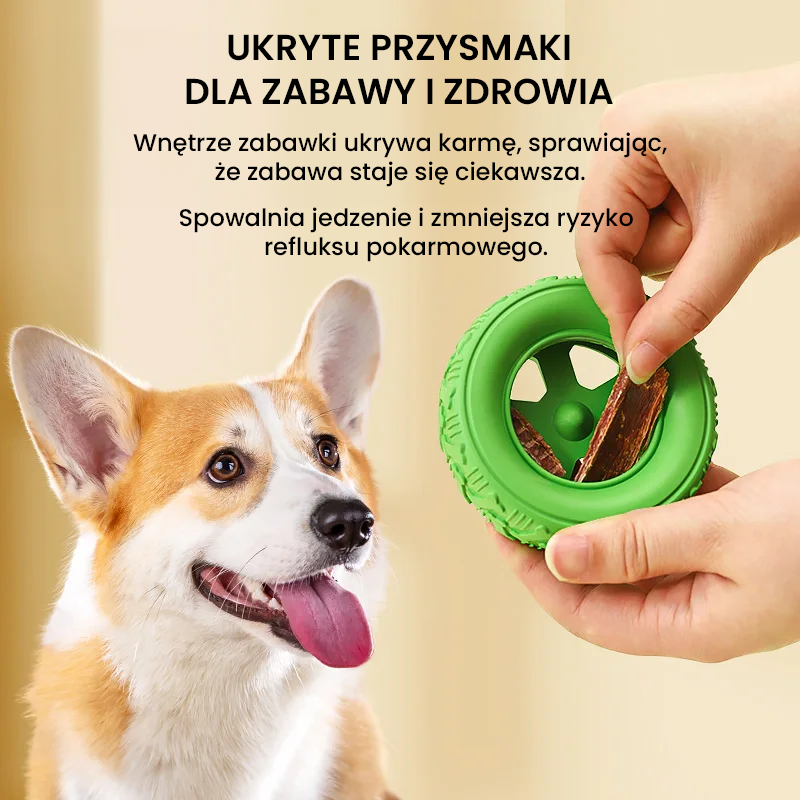 SnackTire – sensoryczne koło na smakołyki