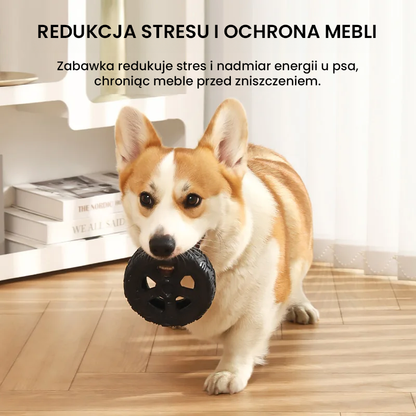 SnackTire – sensoryczne koło na smakołyki