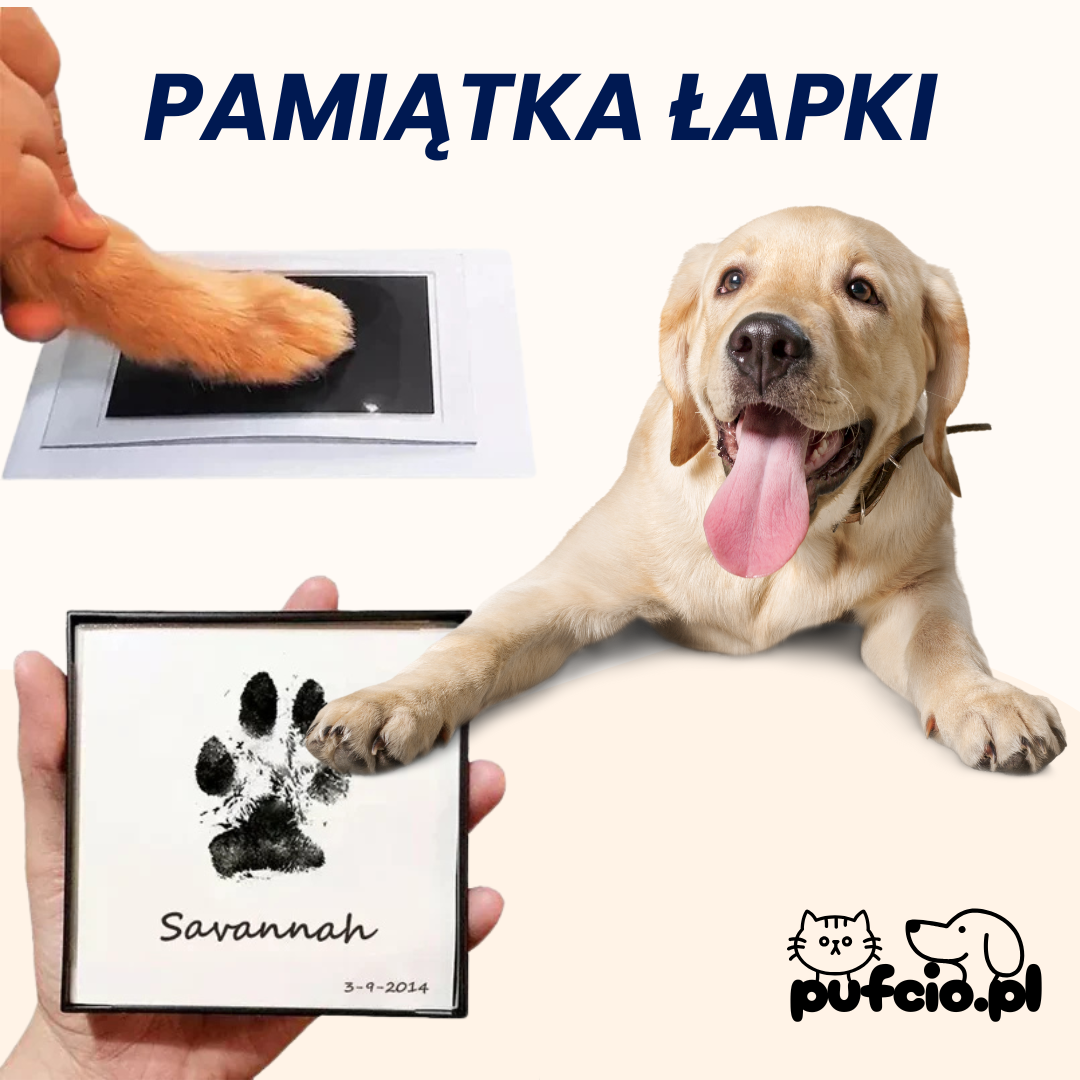 Pamiątka Łapki Pupila
