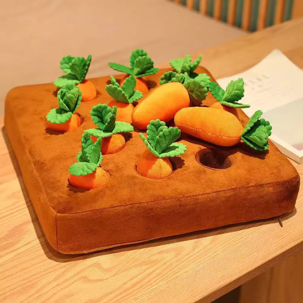 CarrotPlay – Mata z 12 marchewkami
