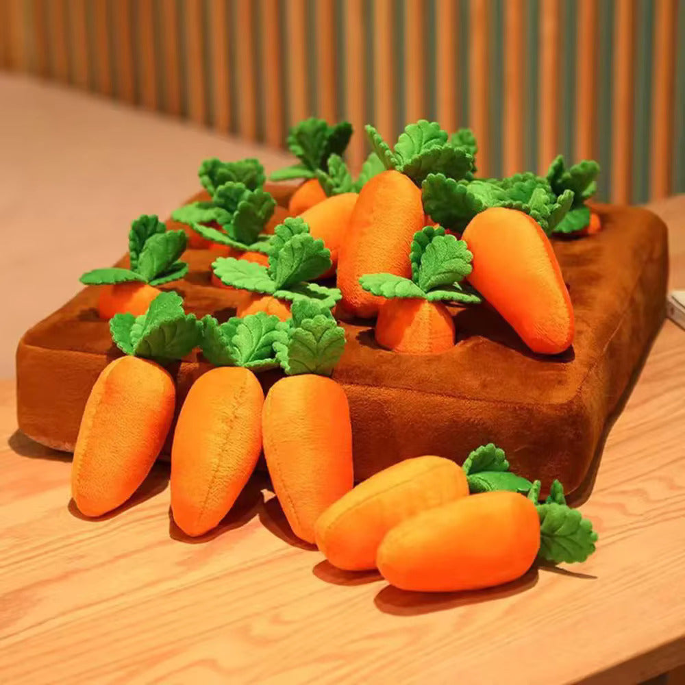 CarrotPlay – Mata z 12 marchewkami